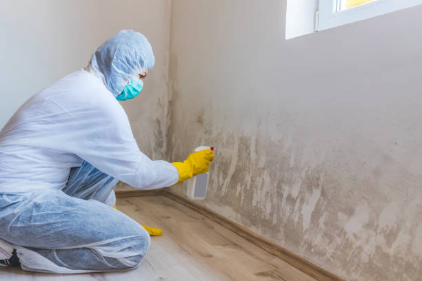 Crawl Space Mold Remediation treatment of floor joists in Evanston